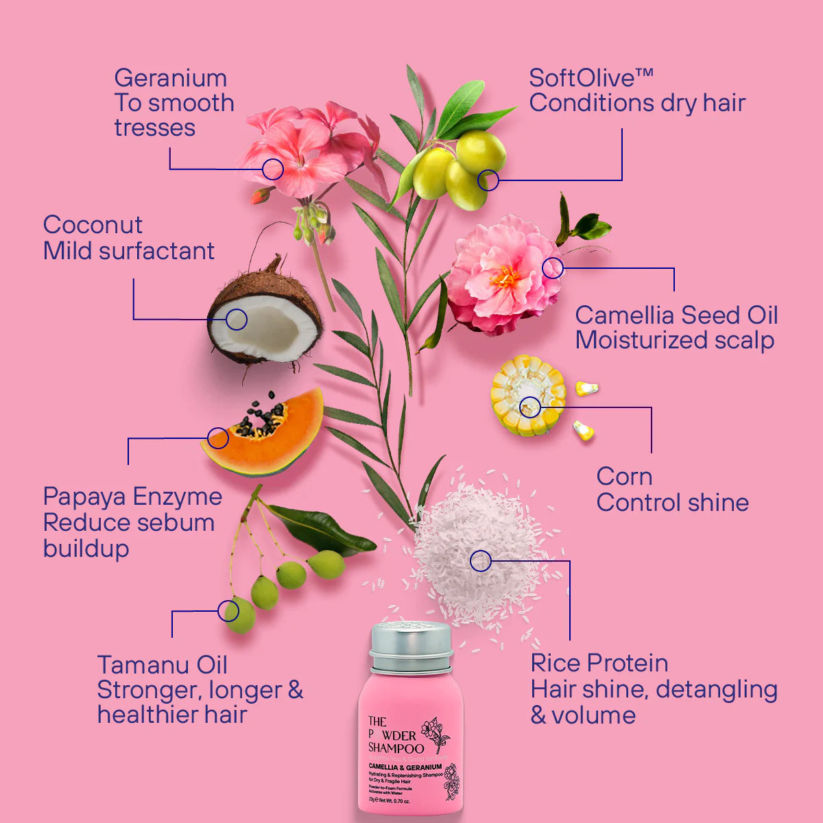 Mini-Pulvershampoo for Tørt og Skadet hår fra The Powder Shampoo