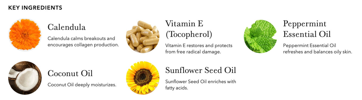 Økologisk Mint Lip Balm Fra 100% Pure