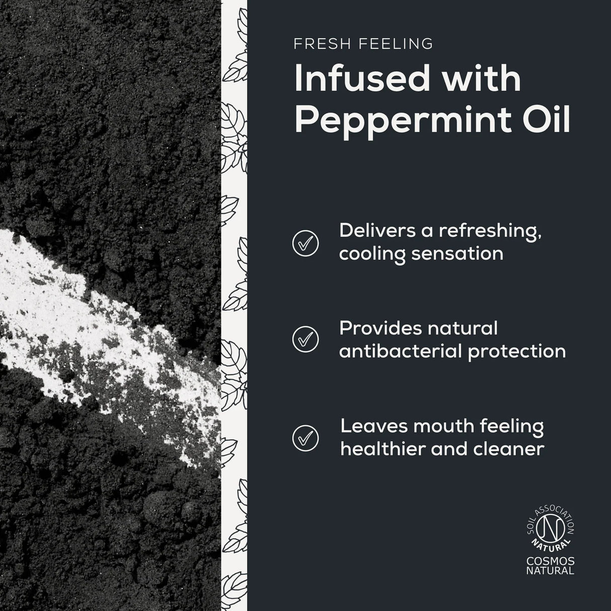 Charcoal Mineral Tannkrem Pulver fra Georganics